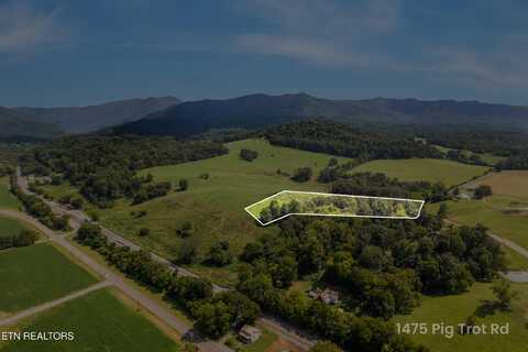 Lot 1 Pig Trot Rd, Newport, TN 37821