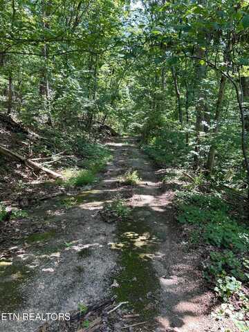 Laurel Mountain Circle, Madisonville, TN 37354