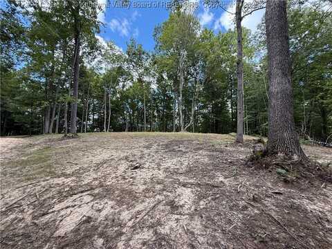 Harmon Run Road, Ripley, WV 25271