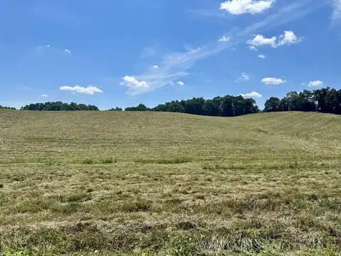 133 Jaguar Way, London, KY 40741