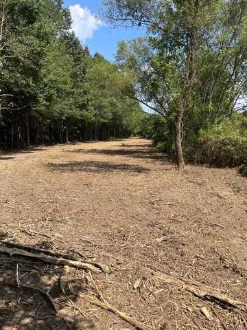 TBD George Boutwell Road, Ovett, MS 39443