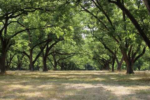0 SHADY GROVE ROAD, HURTSBORO, AL 36860