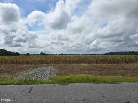 LOT 4 GRAY ROAD, DAGSBORO, DE 19939