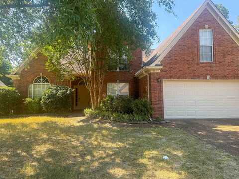 2598 PLUM CREEK, Memphis, TN 38016