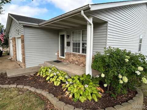 101 Wenona Drive, Washington, MO 63090