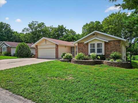 17 Treebeard Circle, Saint Charles, MO 63303