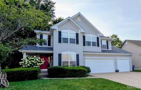 125 Pine Needle Drive, Wentzville, MO 63385