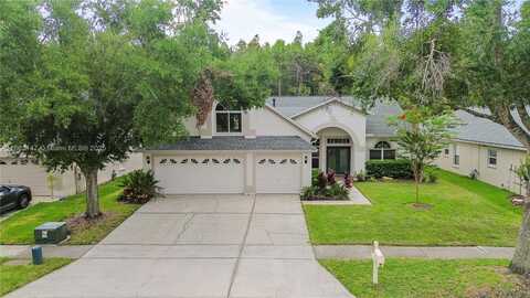 10217 Timberland Point Drive, Tampa, FL 33647