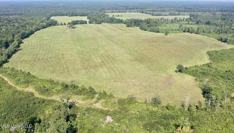 0 Crisco Road, Florence, MS 39073