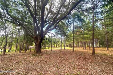 23ac Hinton Road, Lucedale, MS 39452