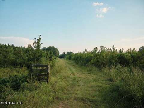 911 Smith Co Rd 563, Pulaski, MS 39152