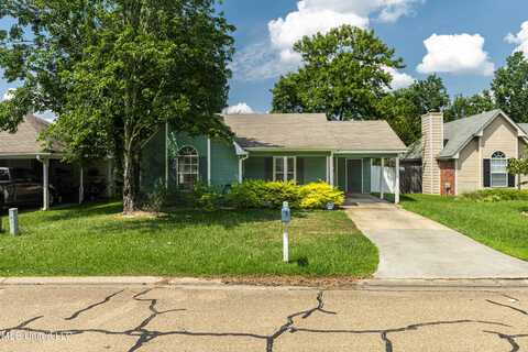 213 Falcon Cove, Brandon, MS 39047