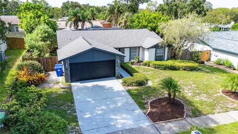 1646 CASTLEWOOD LANE, PALM HARBOR, FL 34683