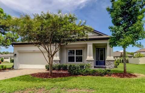 11855 RANCHERS GAP DRIVE, ODESSA, FL 33556