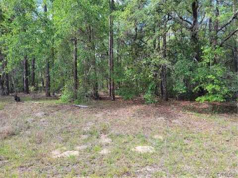 609 E CANTURYBURY LANE, CITRUS SPRINGS, FL 34434