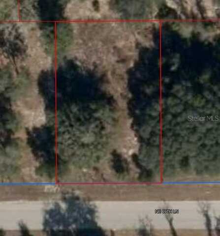 11465 NE 69TH LANE, WILLISTON, FL 32696