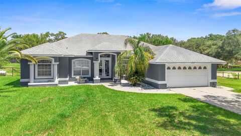 25039 ADAIR AVENUE, SORRENTO, FL 32776