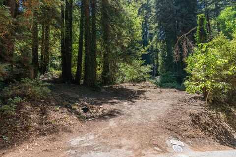 29 Park WAY, MOUNT HERMON, CA 95041