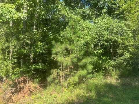 0 Twin Bridges Road, Eatonton, GA 31024