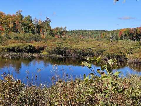 Lot 2b Kingfield Road, New Vineyard, ME 04956