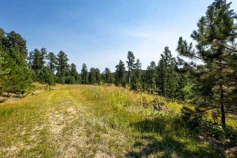 Tract 3 Magpie Road, Lead, SD 57754