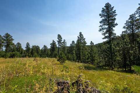 Tract 3 Magpie Road, Lead, SD 57754