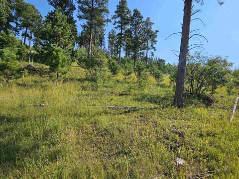 TBD Last Chance Ridge, Deadwood, SD 57732