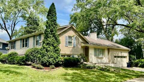 165 Tamarack Avenue, Naperville, IL 60540