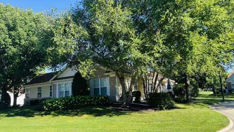 21521 W Douglas Lane, Plainfield, IL 60544