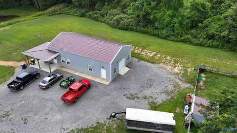705 Vines Street SE, Arab, AL 35016