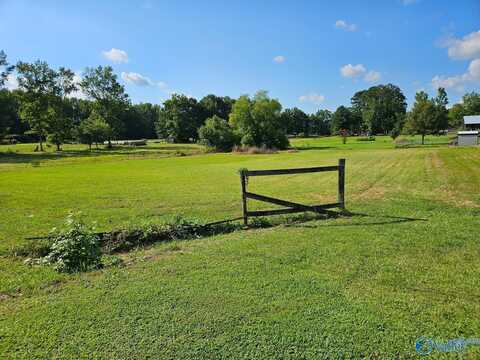 2203 Sardis Drive, Sardis, AL 35956