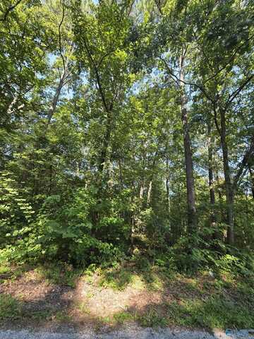 Lot 34 County Road 249, Leesburg, AL 35983