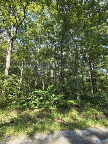 Lot 35 County Road 249, Leesburg, AL 35983