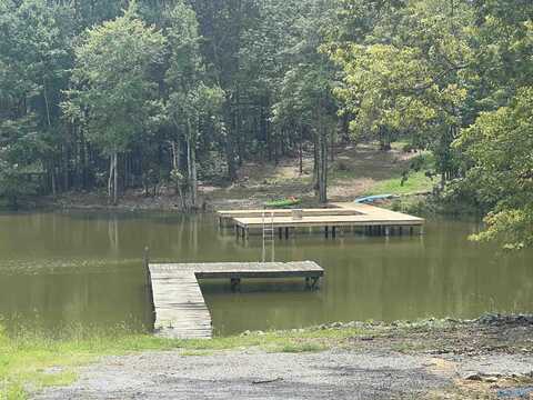 Lot 29 County Road 819, Cedar Bluff, AL 35959