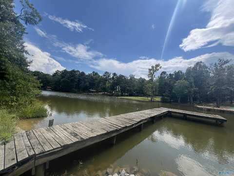 Lot 4 County Road 819, Cedar Bluff, AL 35959