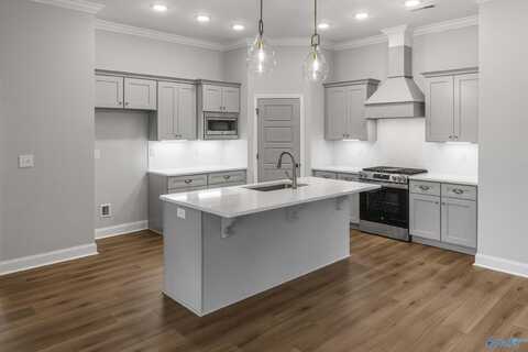 102 Ayers Spring Road, New Market, AL 35761