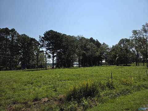 191 County Road 573, Centre, AL 35960