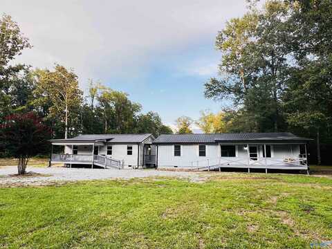 668 Jones Chapel Road, Piedmont, AL 36272