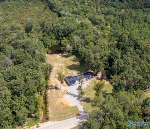 668 Jones Chapel Road, Piedmont, AL 36272