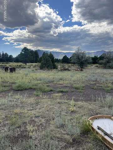 8090 Fran Drive, Flagstaff, AZ 86004