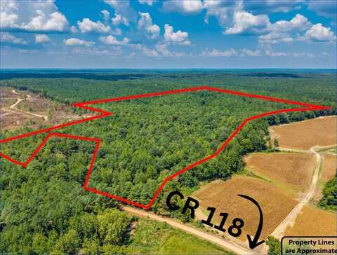 CR 118, Water Valley, MS 38965