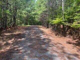 Emelia Road, Morganton, GA 30560