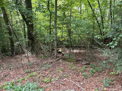 Lt3729 Falcon Drive, Ellijay, GA 30540