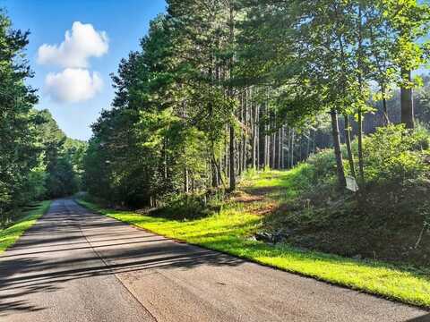 31&32 Foxpaw Leaf Lane, Ellijay, GA 30536