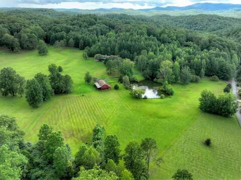 167 Whispering Pines Lane, Cherry Log, GA 30522