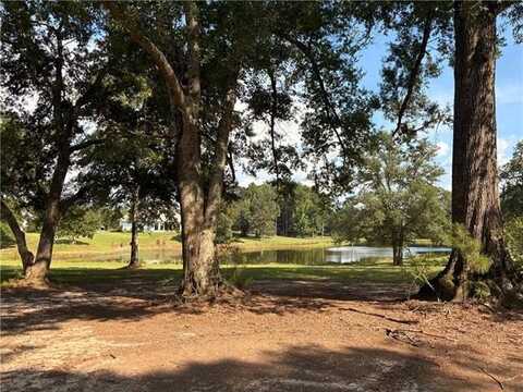 Lot 451 CHINAWOOD Drive, Abita Springs, LA 70420