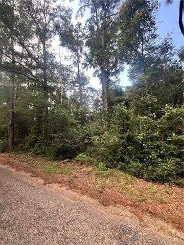 2.70 BILL SIMMONS Road, Mount Hermon, LA 70450
