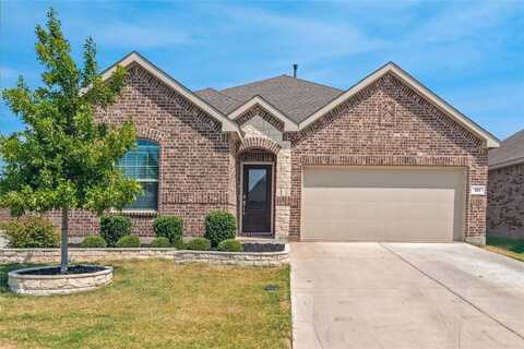 501 Poplar Street, Princeton, TX 75407