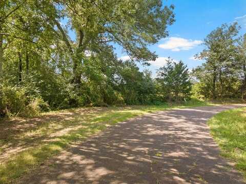 Tbd County Road 1342, Mount Pleasant, TX 75455