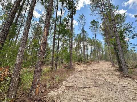 2 Whitetown Ln, Hazlehurst, MS 39083